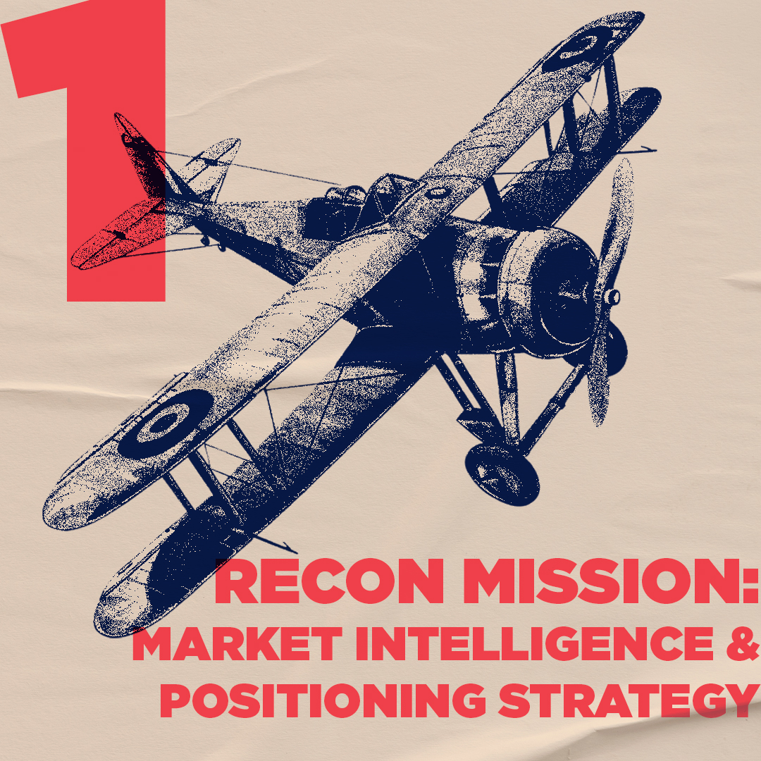 Competitive landscape mapping and customer insight analysis during discovery